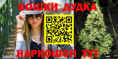 крисы Гагарин