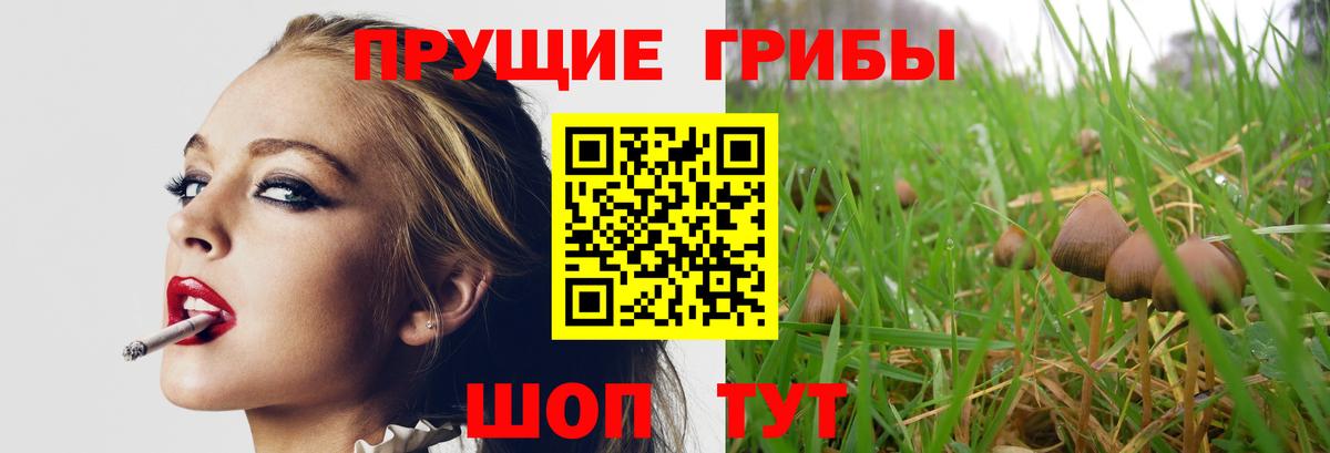 Шебекино  Галлюциногенные грибы Magic Shrooms  Вход с VPN  Галлюциногенные грибы MAGIC MUSHROOMS 